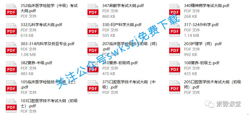 2020年度卫生专业技术考试大纲免费下载(图2)